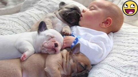 Babies and Pets Being Hilariously Cute Together! ❤️🐕