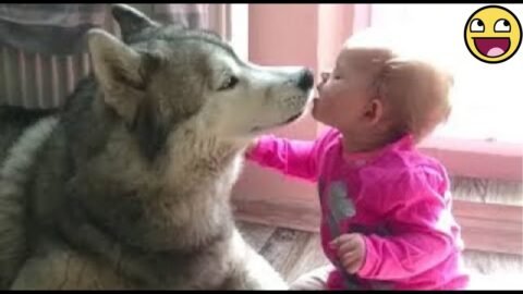 💞 Cutest Baby and Dog Friendship Moments 🐶