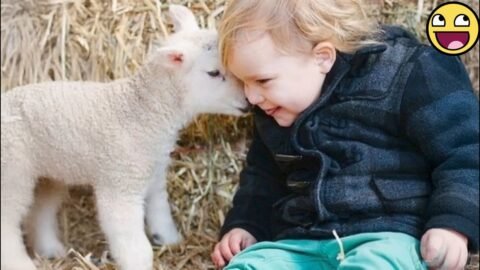 ❤️When Tiny Humans Meet Their Fluffy Besties — Too Cute! 😍🐾