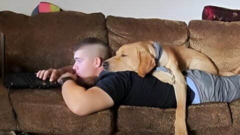 Dogs are absolutely the lovable and best friends you could have!🧡