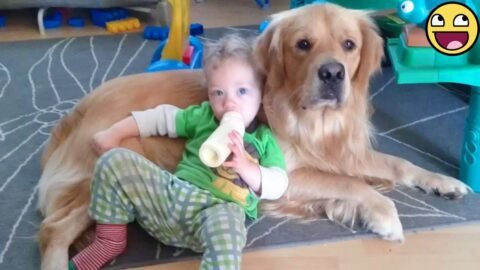 🐶When your dog’s your pillow and your BFF 🐕👶💞