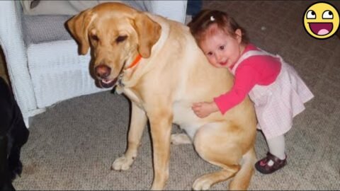 👶Babies Meet Their New Furry Best Friends 🐾🐶 | Too Cute to Handle! 💞