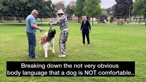 Body Language Warning Signs That Can Be Life Saving.