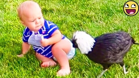 ❤️Cutest Babies and Animals Friendship Moments! 🐶👶