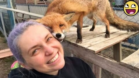 Can Animals Really Teach Us That LOVE Is The Answer To Happiness?❤️
