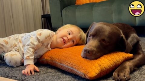 When Your Dog Becomes Baby's Best Friend Forever 🐶❤️👶