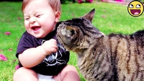Cutest Cats & Babies Moments That Will Melt Your Heart! 🐱👶❤️