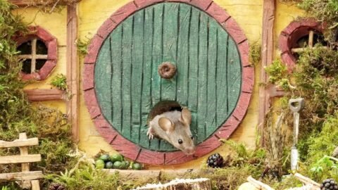 This Man Turned His Garden Into a Hobbit Village For Mice