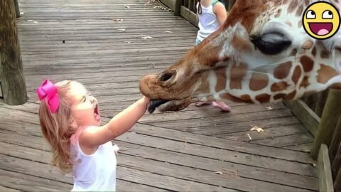 Zoo & Farm Animal Encounters with Babies 🐐🐒 | Hilarious Baby Reactions 2025
