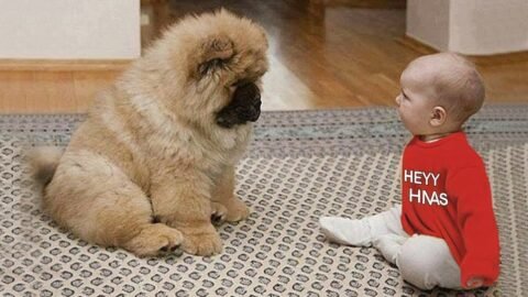 When Your Baby and Dog Have A Secret Language ❤️