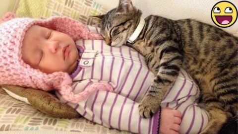 These Cat & Baby Duos Will Instantly Brighten Your Day! 🐱👶🌸