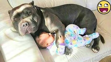 Pure Joy When Dogs and Babies Play Together 🥹🐾