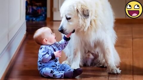 These Baby & Dog Play Moments Are Too Cute to Handle! π₯°πΆ