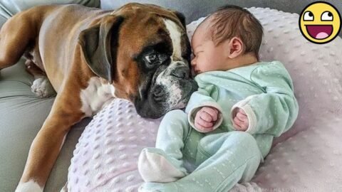 Heartwarming 30’ Baby & Dog Best Friends Moments 🐶👶❤️