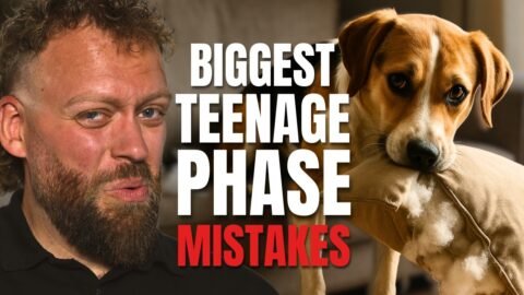 Surviving the Teenage Phase What Most Owners Get Wrong!